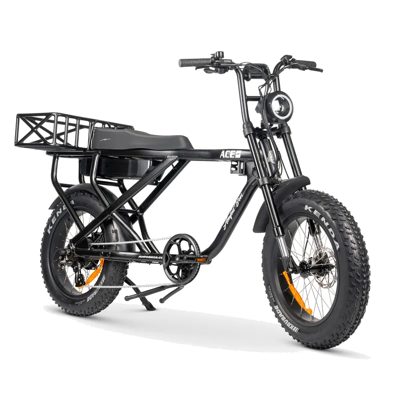 ACE-X MAX
