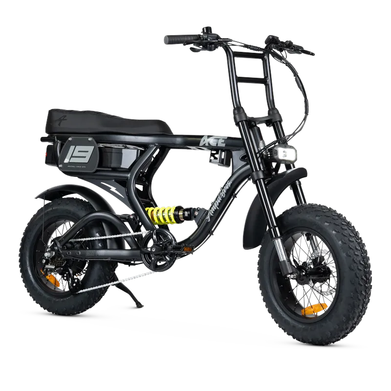 ACE-X Mini PRO